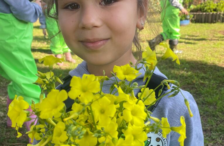 Anamur Orman İşletme Müdürlüğü’ne Kıbrıs İlkokulu Ana Sınıfı Ziyareti