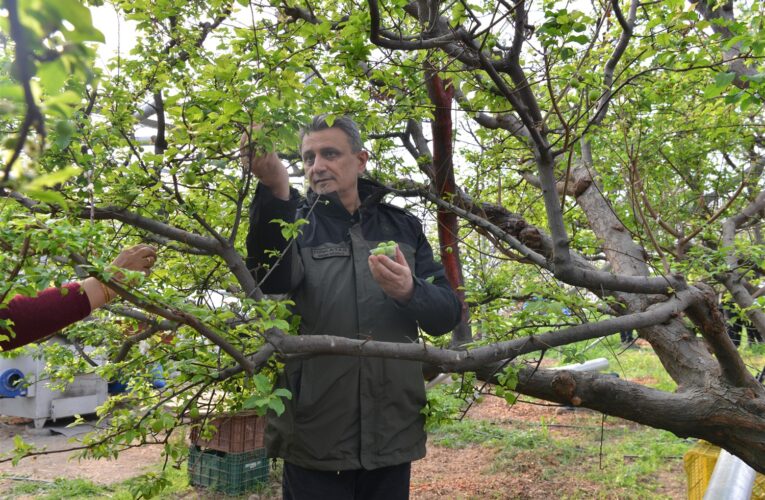 MERSİN YEŞİL DÖNÜŞÜM OFİSİ’NİN İLK KURUM İÇİ TOPLANTISI YAPILDI