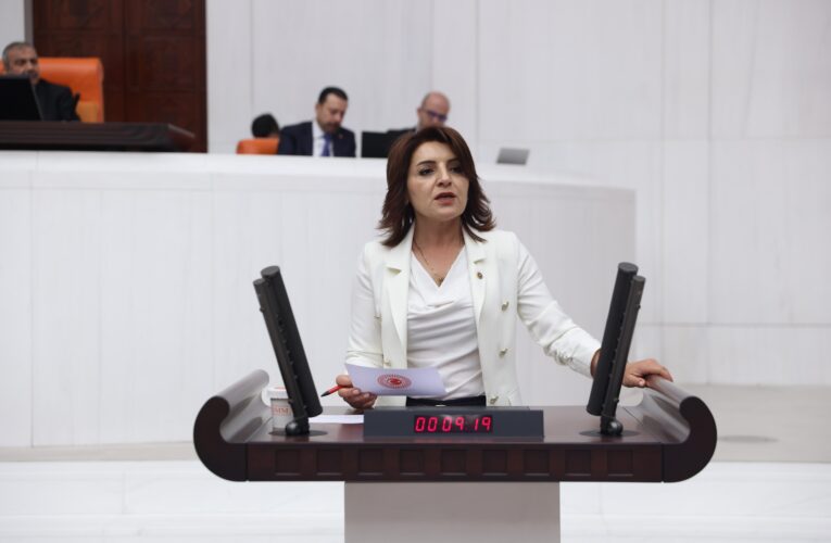 CHP MERSİN MİLLETVEKİLİ GÜLCAN KIŞ’TAN  ÇİFTÇİLER İÇİN KANUN TEKLİFİ