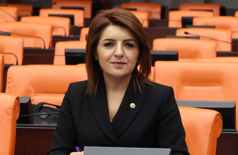 CHP Mersin Milletvekili Gülcan Kış: “Depremin Üzerinden İki Yıl Geçti,  Sözler Tutulmadı, Depremzedeler Hâlâ Mağdur!”