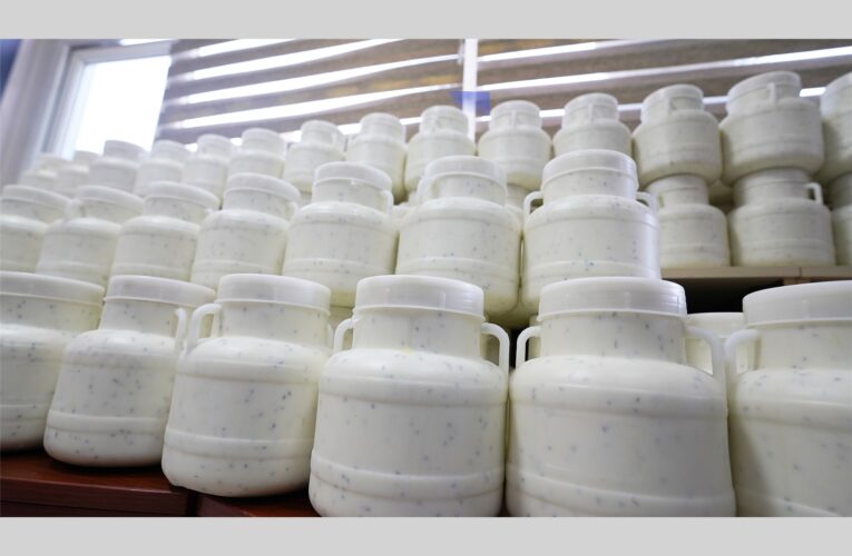 TARSUS’TA HALK SAĞLIĞINI TEHDİT EDEN BİN 500 KİLOGRAM PEYNİR ELE GEÇİRİLDİ