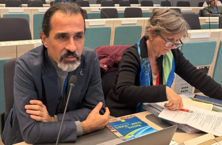 PLASTİKSİZ MERSİN SAHİLİ İÇİN BRÜKSEL’DE ADIM ATILDI