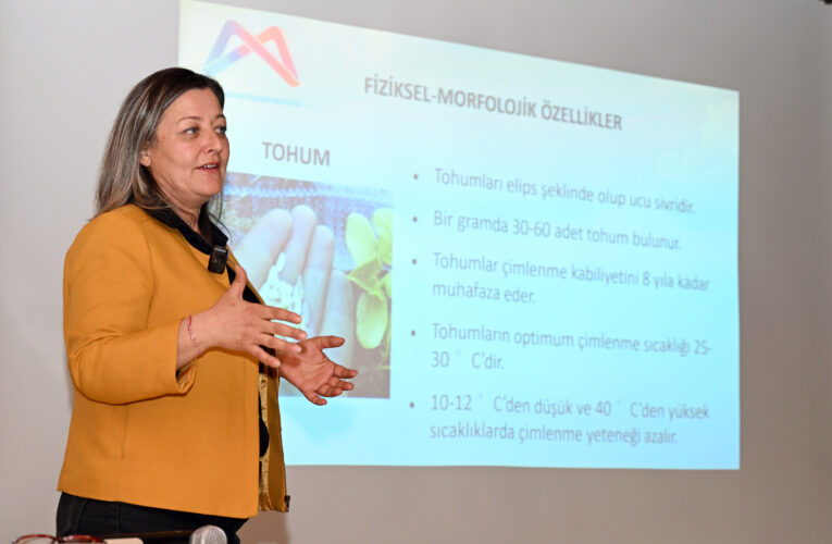 AYDINCIKLI HIYAR YETİŞTİRİCİLERİNE BÜYÜKŞEHİR’DEN ‘ÖRTÜALTI HIYAR YETİŞTİRİCİLİĞİ’ EĞİTİMİ