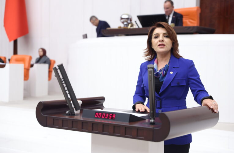 CHP’li Gülcan Kış: “İcra Dosyaları Patladı, Boşanmalar Arttı: Ekonomik Krizin Faturası Ailelere Kesiliyor!”