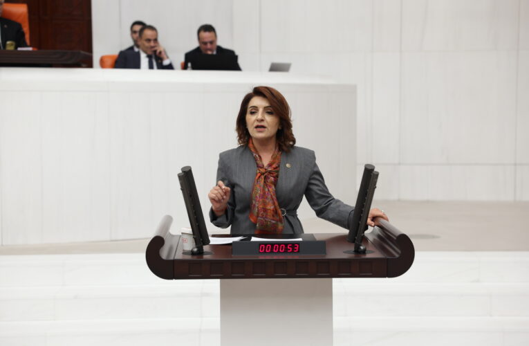 CHP Mersin Milletvekili Gülcan Kış:  “Aileyi desteklemek yerine koleksiyonculara hatıra ürettiler.”