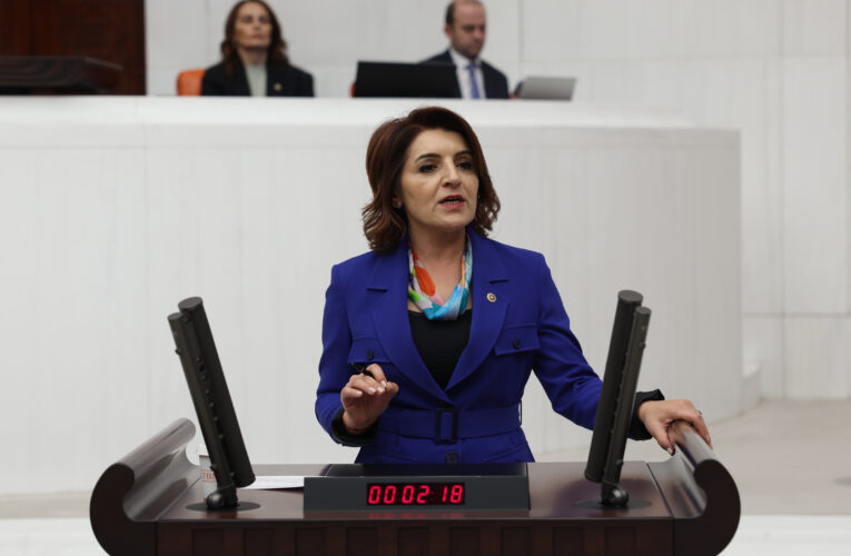 Gülcan Kış: “Vatandaşın Sofrasına Yemek Koyması Bile Lüks Hâline Geldi”