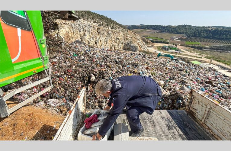TARSUS ZABITASININ DİKKATİNDEN KAÇMADI: SAĞLIĞI TEHDİT EDEN 750 KİLOGRAM BALIK ELE GEÇİRİLDİ
