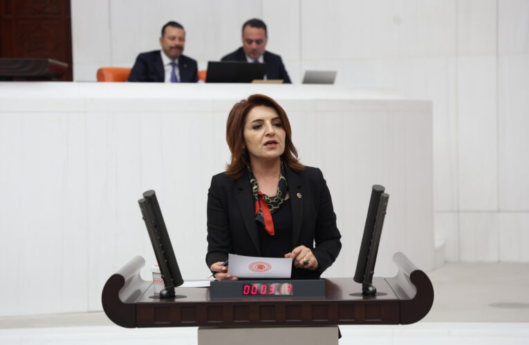 CHP MERSİN MİLLETVEKİLİ GÜLCAN KIŞ:  “HER HANEYE BİR İCRA DOSYASI: TÜRKİYE İCRA ÜLKESİ OLDU!”