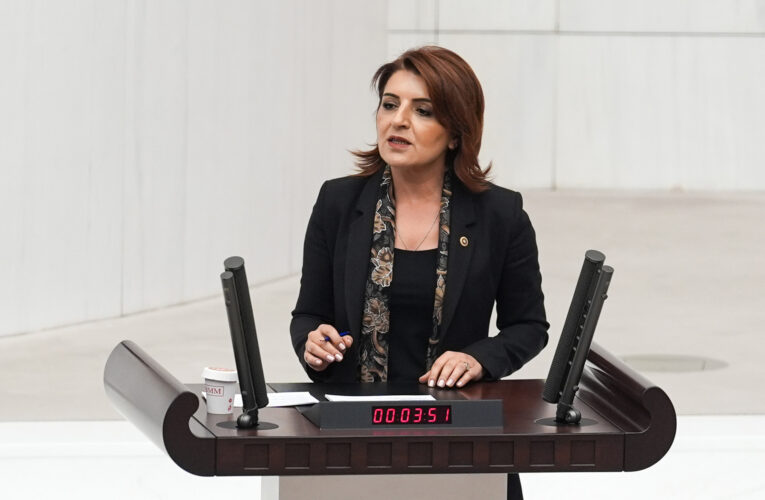 GÜLCAN KIŞ: “BAŞKANLIK SİSTEMİ GELDİ, HER ŞEY DÜZELECEK DEDİLER…  KATLANAN TEK ŞEY VATANDAŞIN BORCU OLDU!”