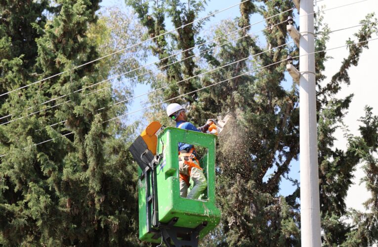 TOROSLAR’DA DAHA TEMİZ VE YEŞİL BİR ÇEVRE İÇİN YOĞUN MESAİ