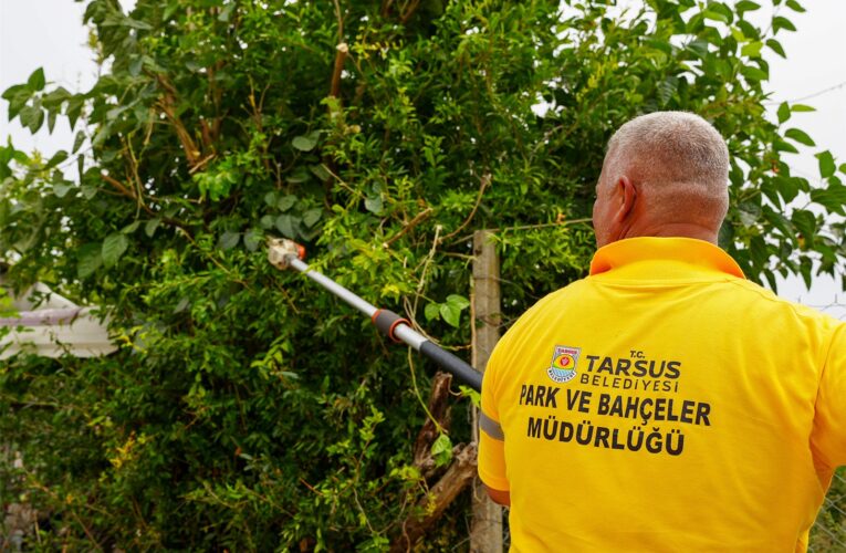 TARSUS BELEDİYESİ’NDEN ÇAVDARLI MAHALLESİ’NDE TEMİZLİK VE BAKIM ÇALIŞMASI