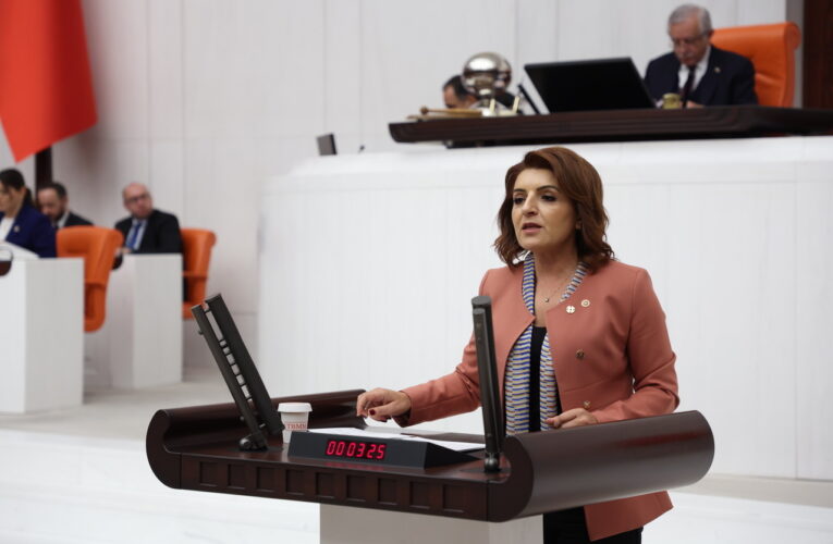 DEVLETİN KASASI BOŞ, GÖZLER KÖPRÜLERDE! TARİHİN EN BÜYÜK ÖZELLEŞTİRMESİ GÜNDEMDE