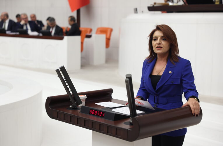 BAKANLIK İTİRAF ETTİ: MERSİN İÇİN PLAN YOK!