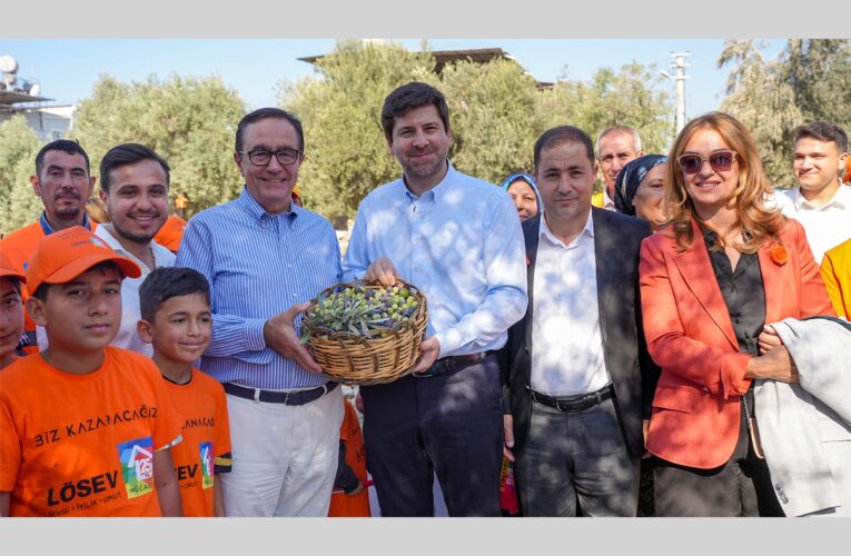 TARSUS BELEDİYESİ DR. ÜSTÜN EZER ZEYTİN GEN KORUMA ALANINDA HASAT BAŞLADI