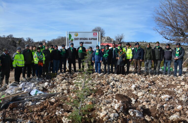 Yeni Yıla Yeşil Bir Miras: Şehit Ertuğrul Ulupınar Sedir Ormanı