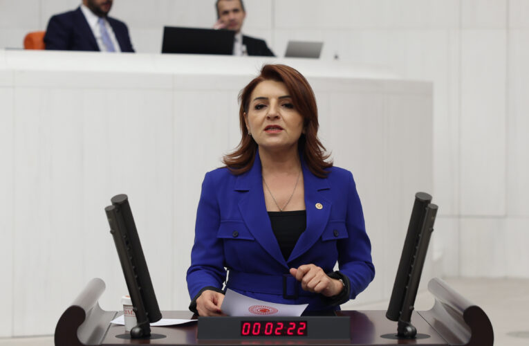 BU ÜCRETLE DEĞİL YAŞAMAK, BESLENMEK BİLE LÜKS